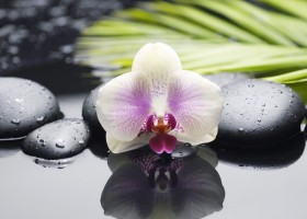 Азалия орхидея 250*350 мм  белая плитка